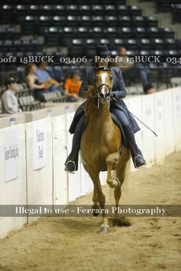 Proof 15BUCK_03406