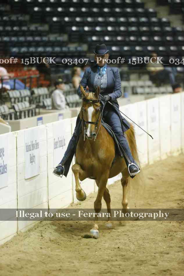 Proof 15BUCK_03407