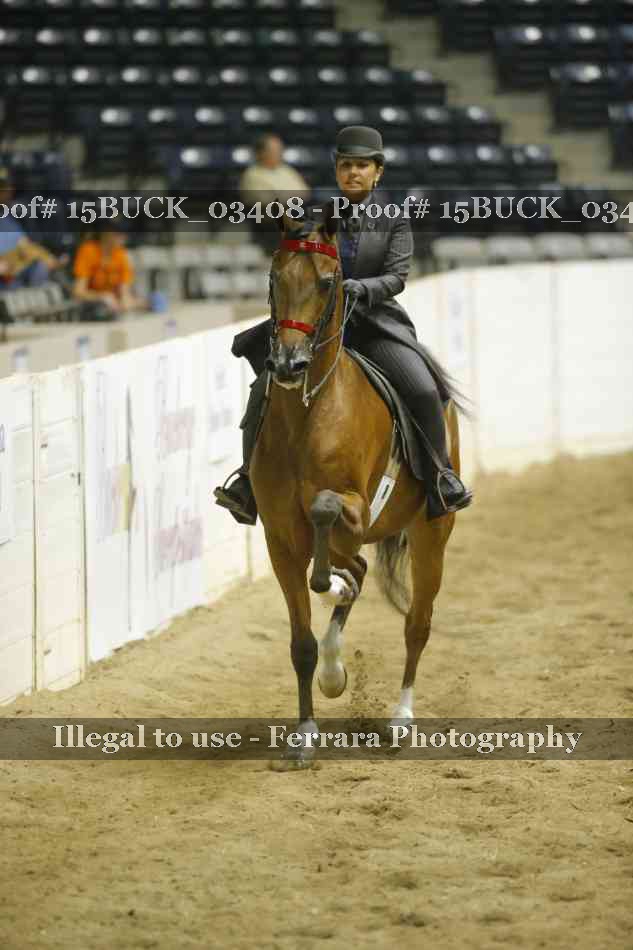 Proof 15BUCK_03408