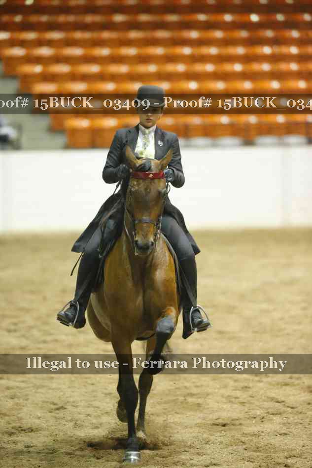 Proof 15BUCK_03409