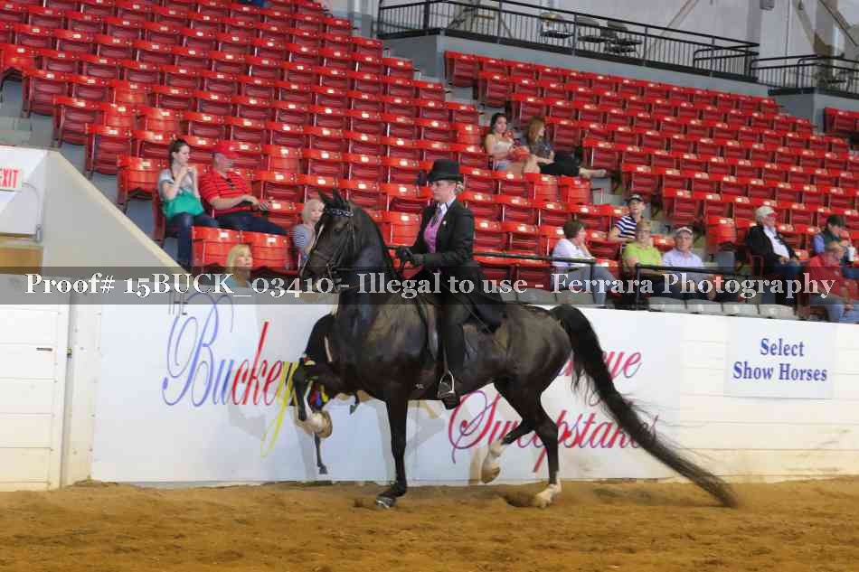 Proof 15BUCK_03410