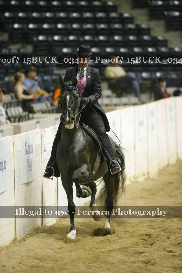 Proof 15BUCK_03411