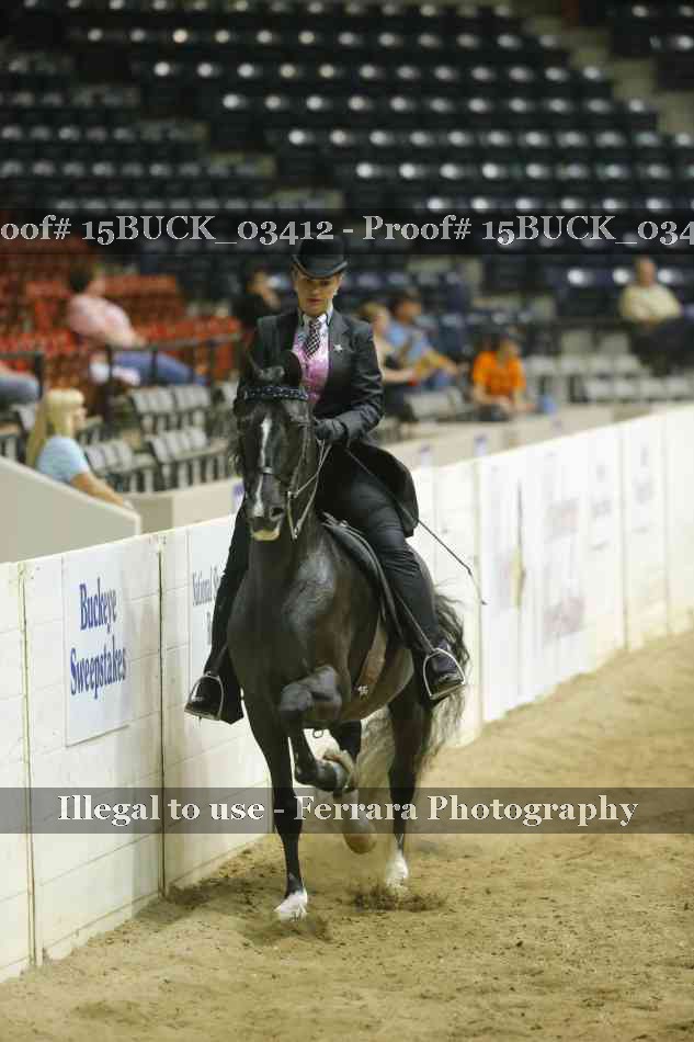 Proof 15BUCK_03412