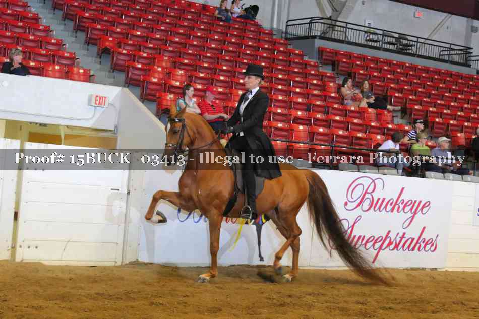 Proof 15BUCK_03413