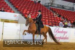 15BUCK_03413 proof