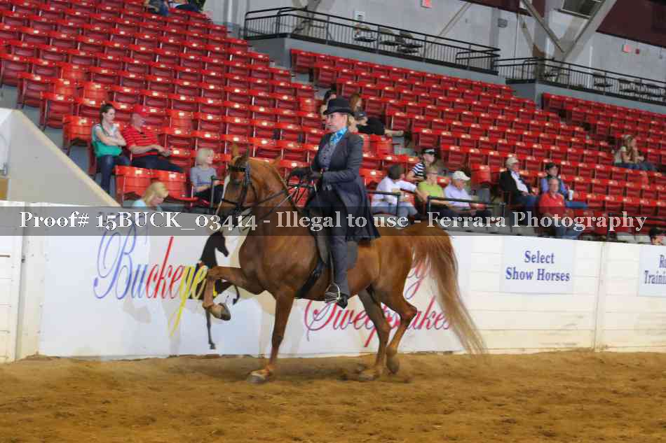 Proof 15BUCK_03414
