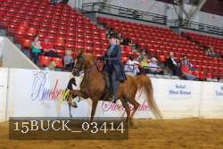15BUCK_03414 proof