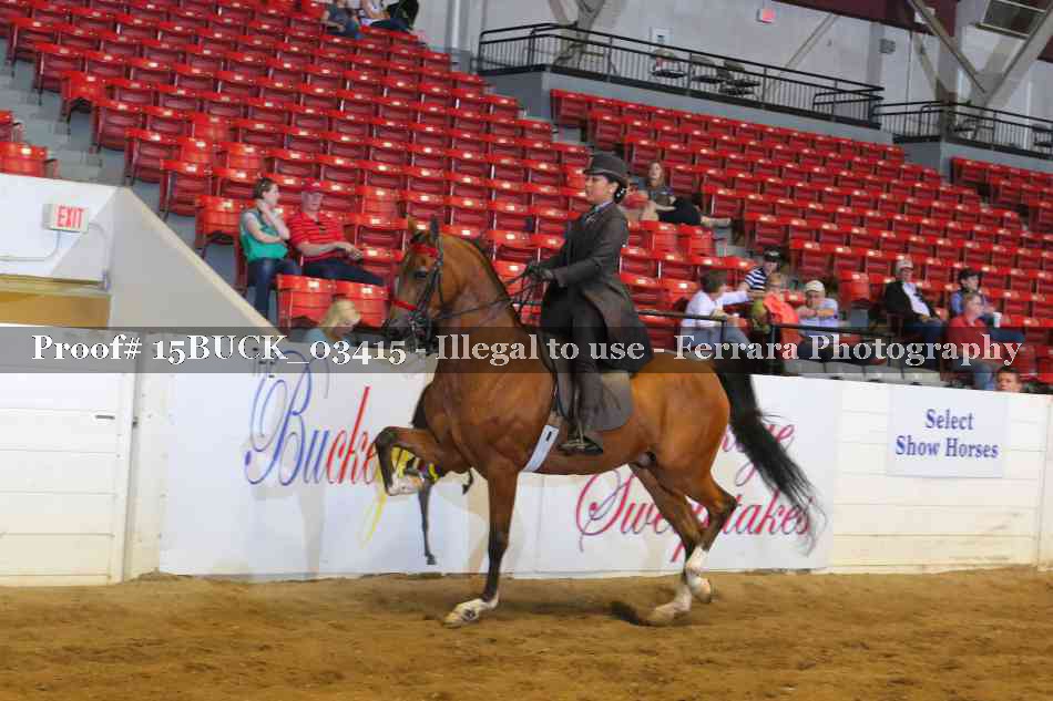 Proof 15BUCK_03415