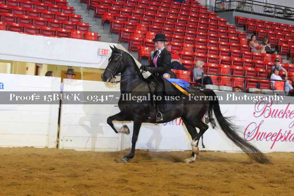 Proof 15BUCK_03417
