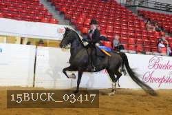 15BUCK_03417 proof