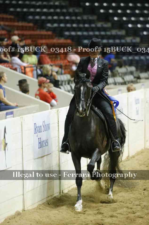 Proof 15BUCK_03418