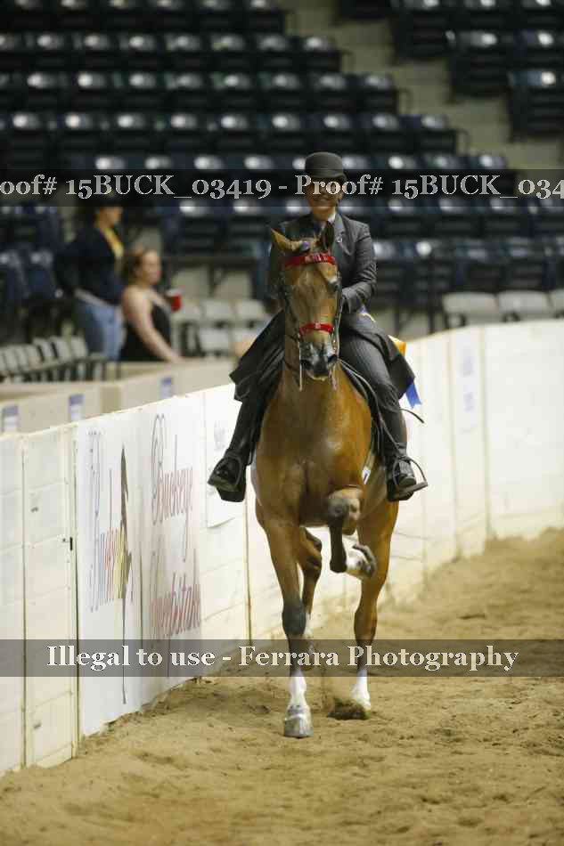 Proof 15BUCK_03419