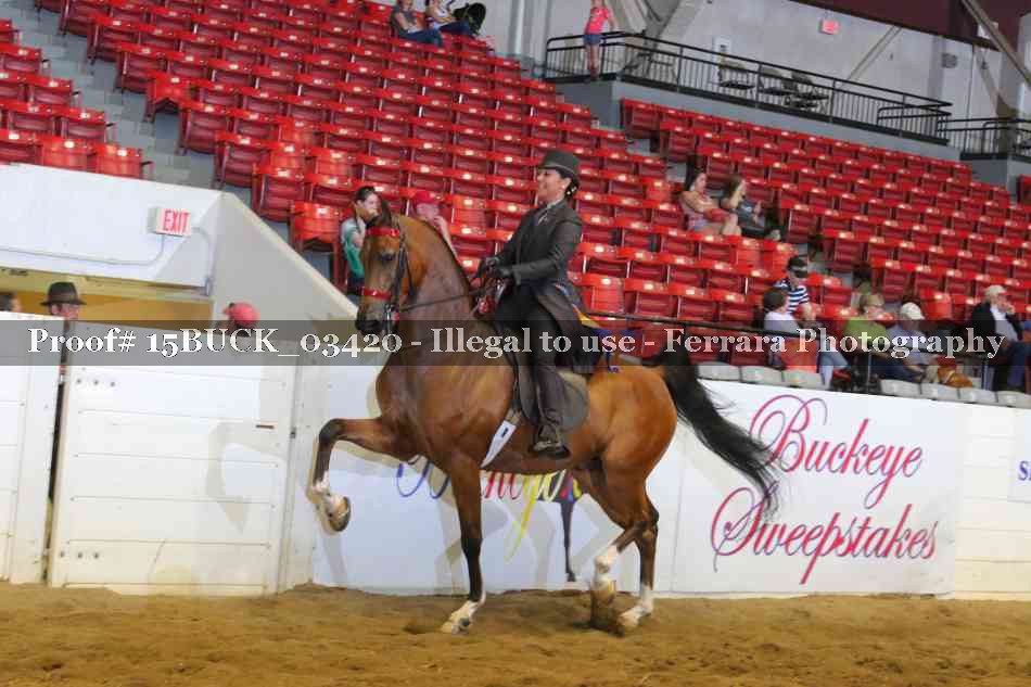 Proof 15BUCK_03420