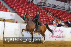 15BUCK_03420 proof