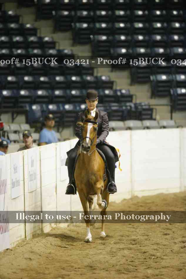 Proof 15BUCK_03421