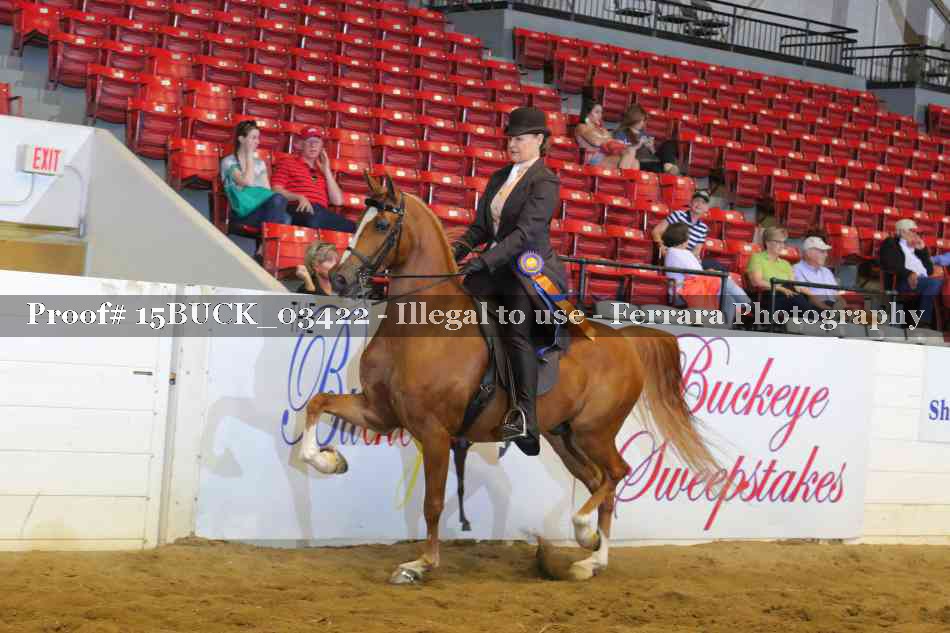 Proof 15BUCK_03422