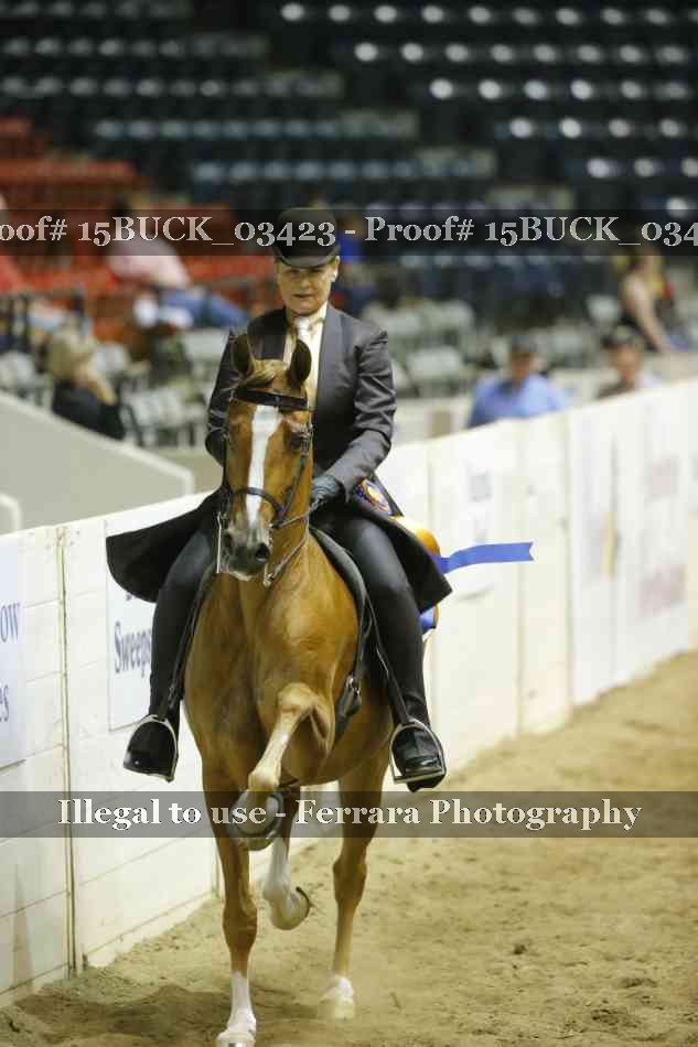 Proof 15BUCK_03423