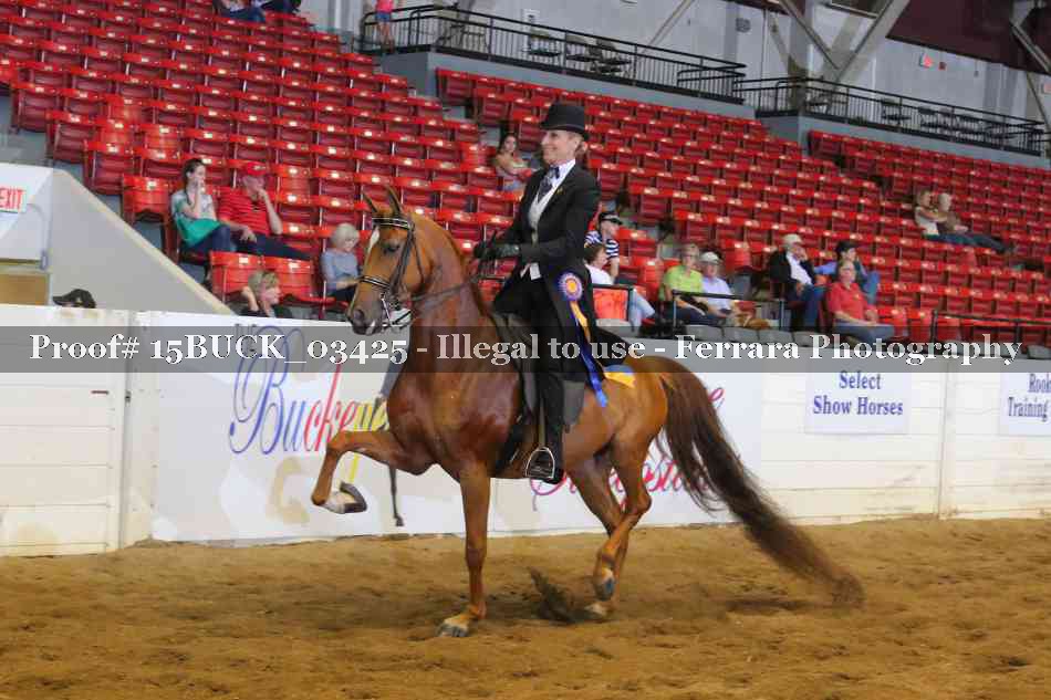 Proof 15BUCK_03425