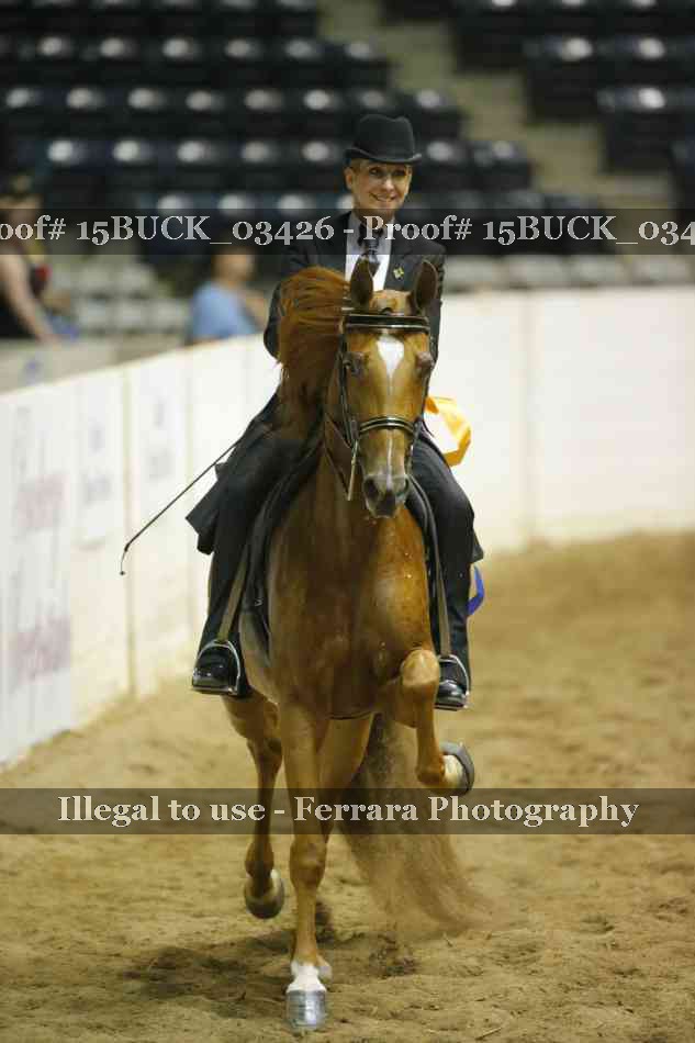 Proof 15BUCK_03426