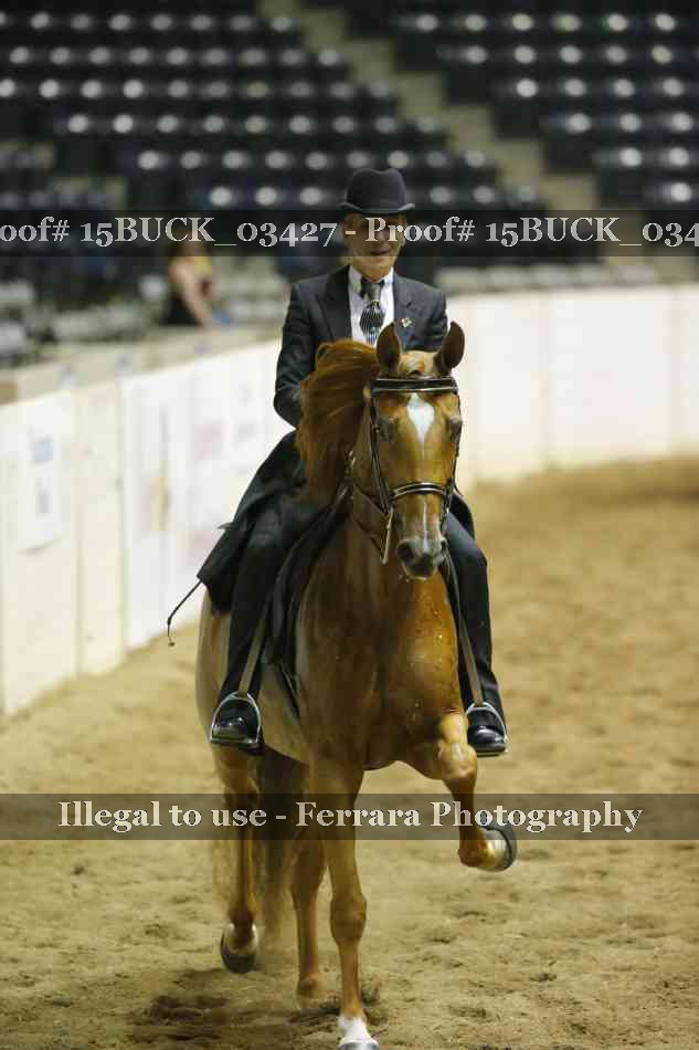 Proof 15BUCK_03427
