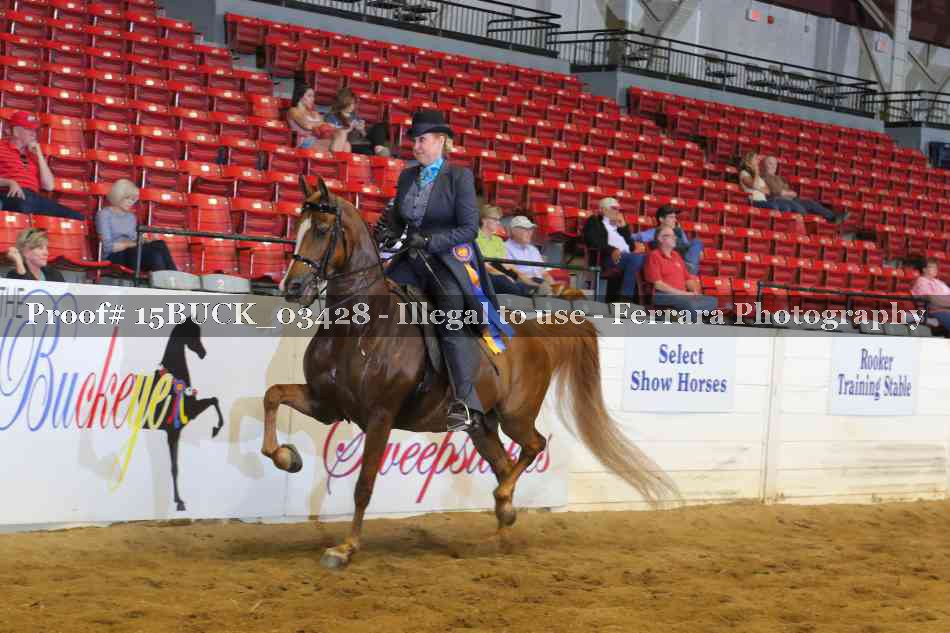 Proof 15BUCK_03428