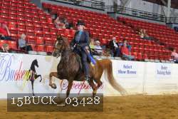 15BUCK_03428 proof