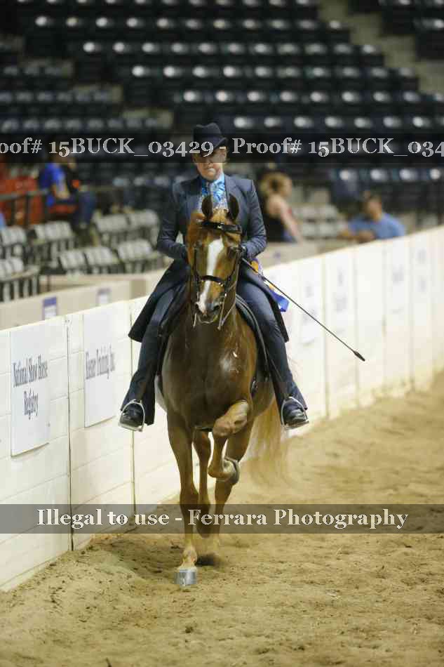 Proof 15BUCK_03429