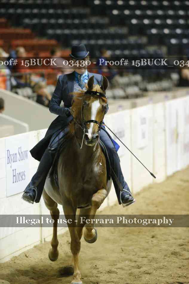 Proof 15BUCK_03430