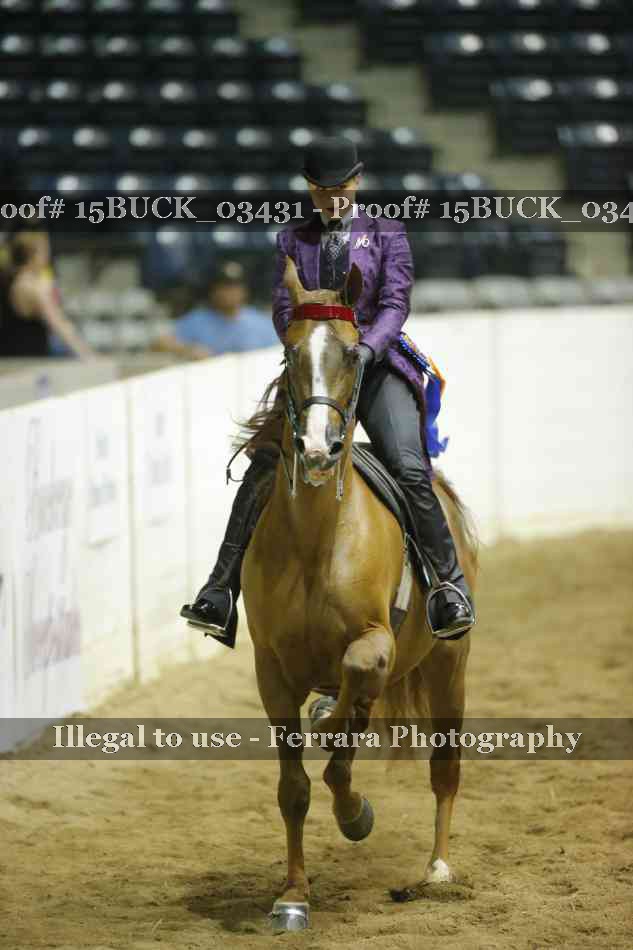 Proof 15BUCK_03431