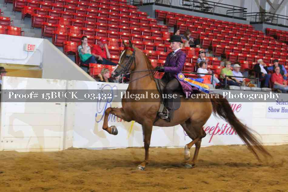 Proof 15BUCK_03432