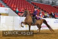 15BUCK_03432 proof