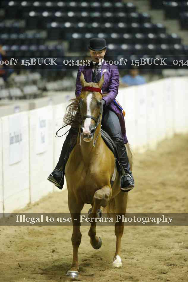 Proof 15BUCK_03433