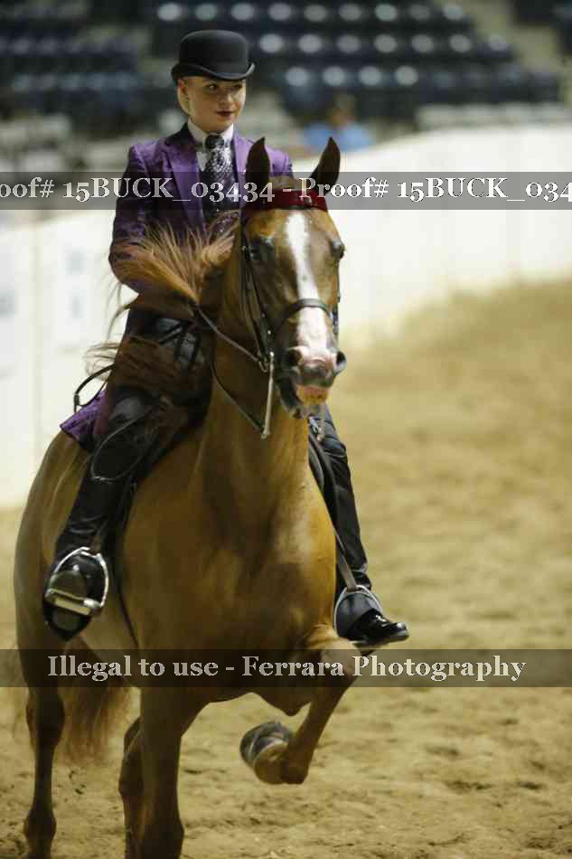 Proof 15BUCK_03434