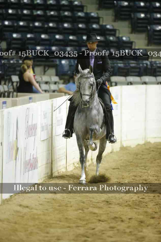 Proof 15BUCK_03435