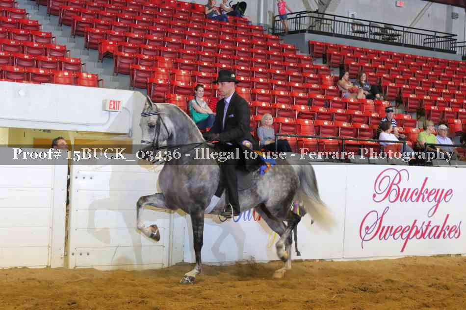 Proof 15BUCK_03436