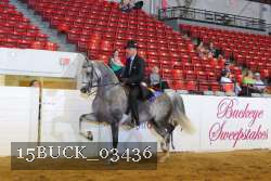 15BUCK_03436 proof