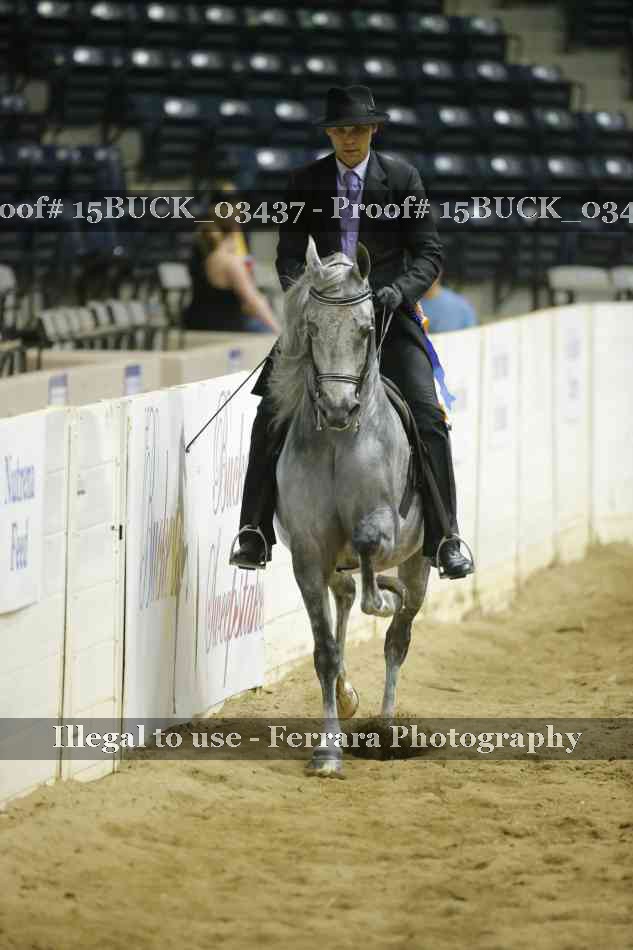 Proof 15BUCK_03437