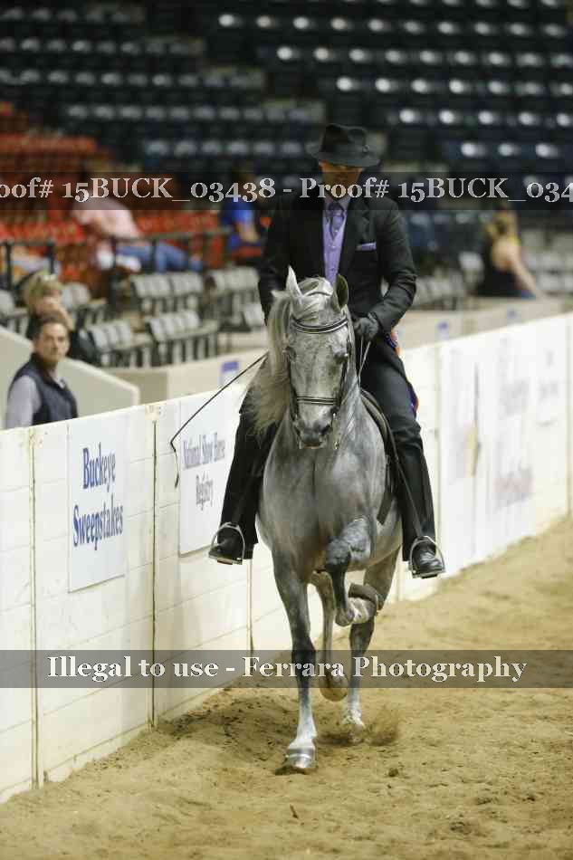 Proof 15BUCK_03438