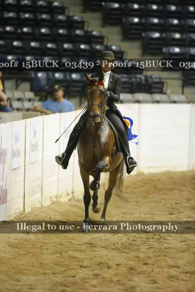 Proof 15BUCK_03439