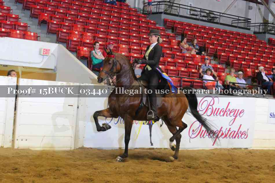 Proof 15BUCK_03440