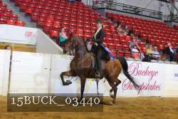 15BUCK_03440 proof