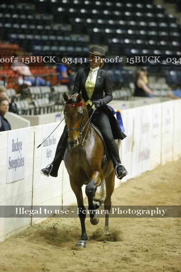 Proof 15BUCK_03441