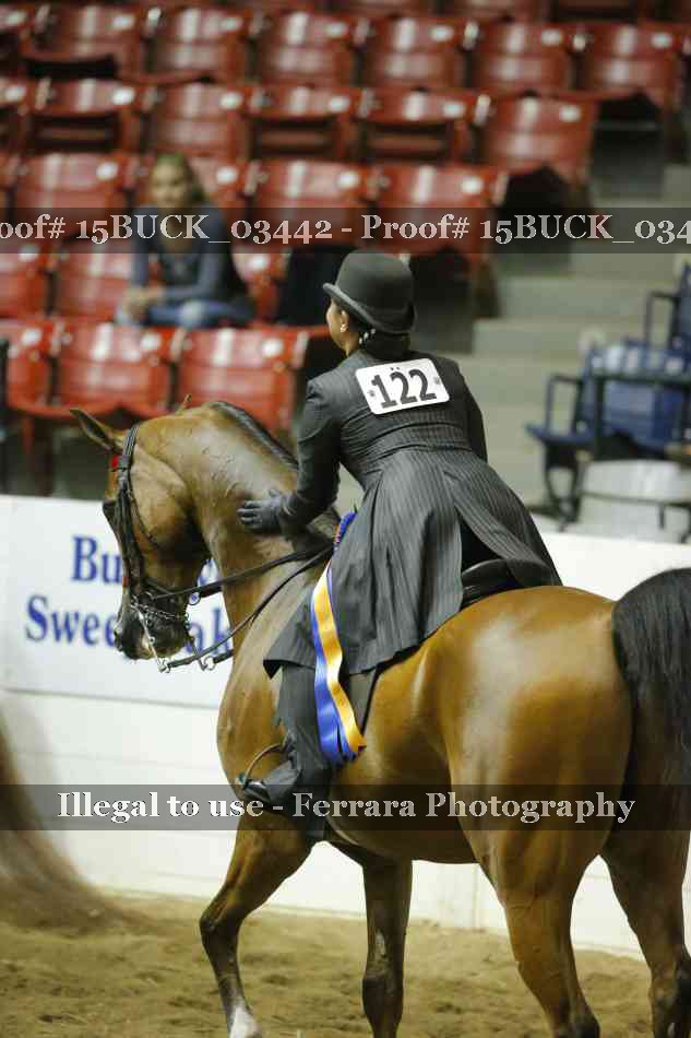 Proof 15BUCK_03442