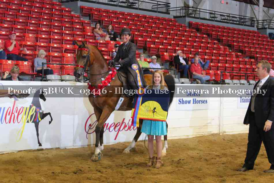 Proof 15BUCK_03446