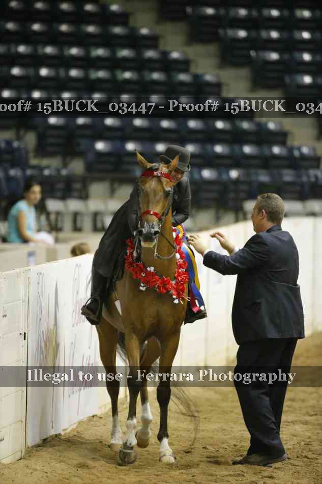 Proof 15BUCK_03447