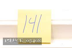 15BUCK_03468 proof