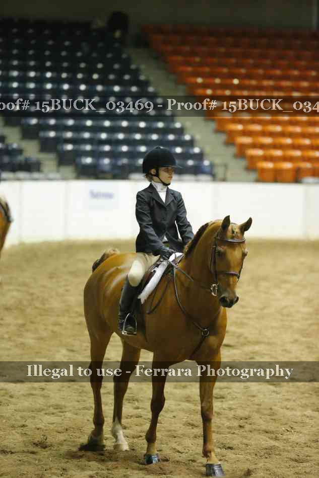 Proof 15BUCK_03469