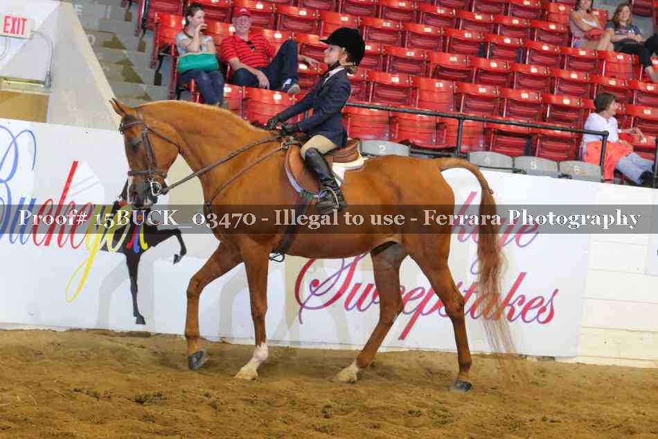 Proof 15BUCK_03470