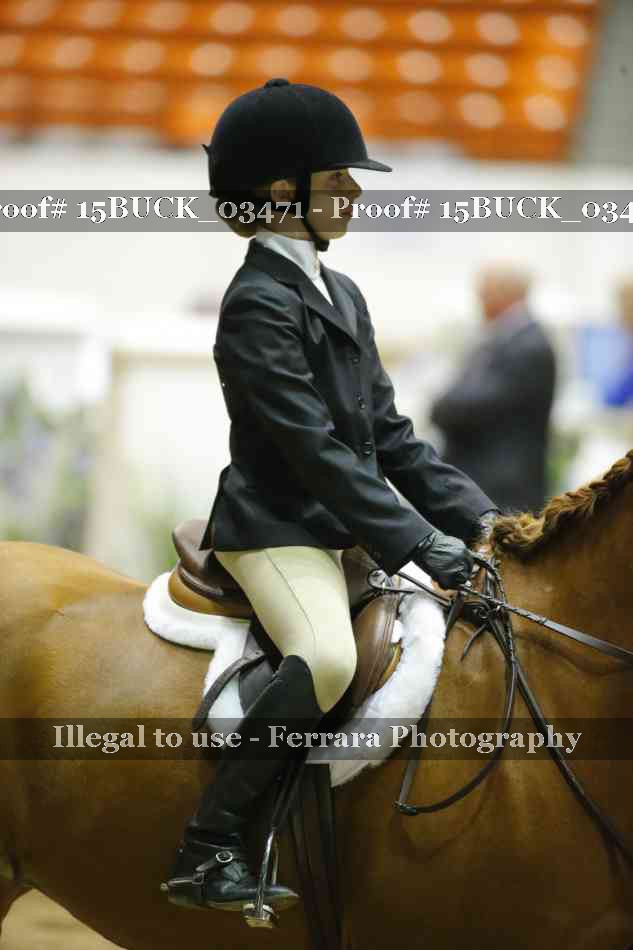 Proof 15BUCK_03471