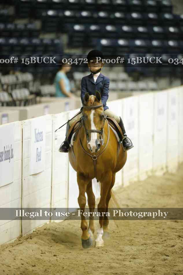 Proof 15BUCK_03472